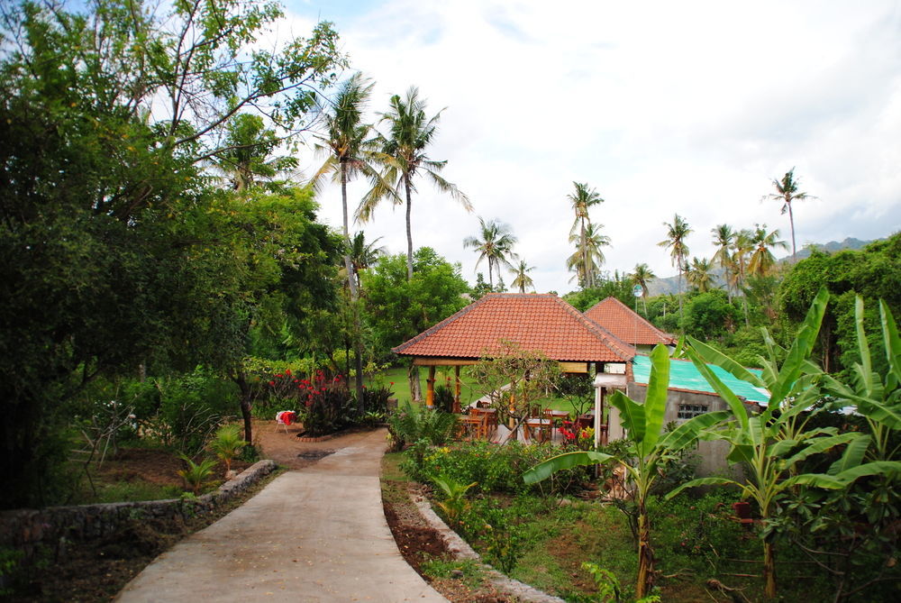 Tiara Homestay Pemuteran Eksteriør bilde